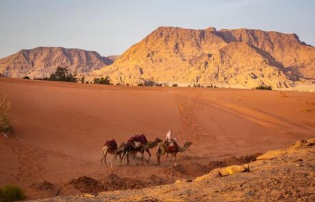 Private tours