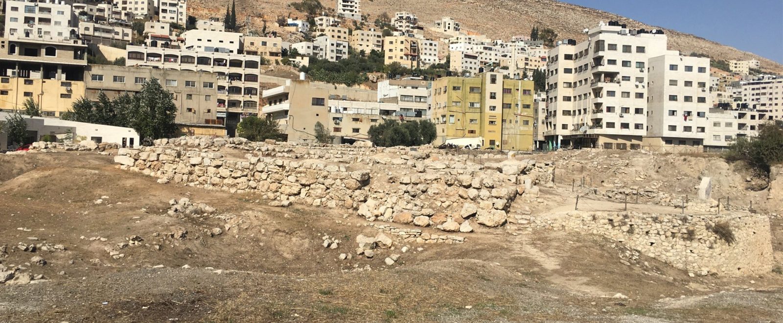 Tel Balata Archaeological Park