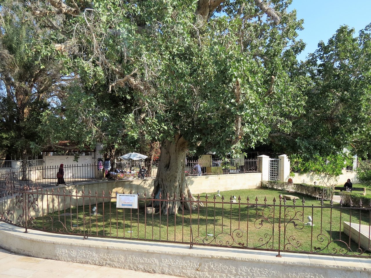 Church Of Zacchaeus
