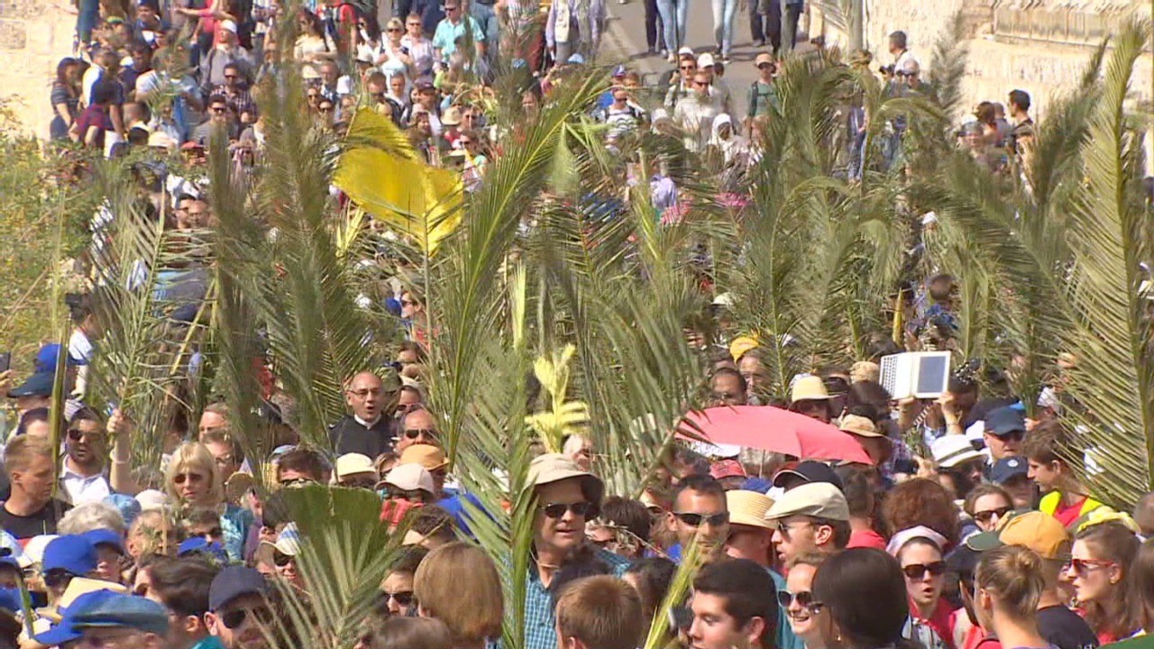  Palm Sunday